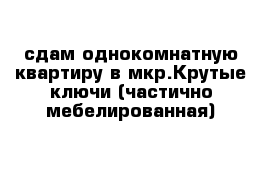 сдам однокомнатную квартиру в мкр.Крутые ключи (частично мебелированная)